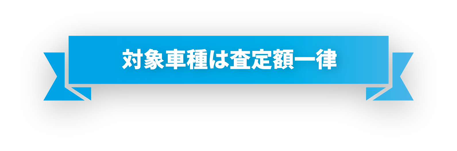 対象車種は査定額一律