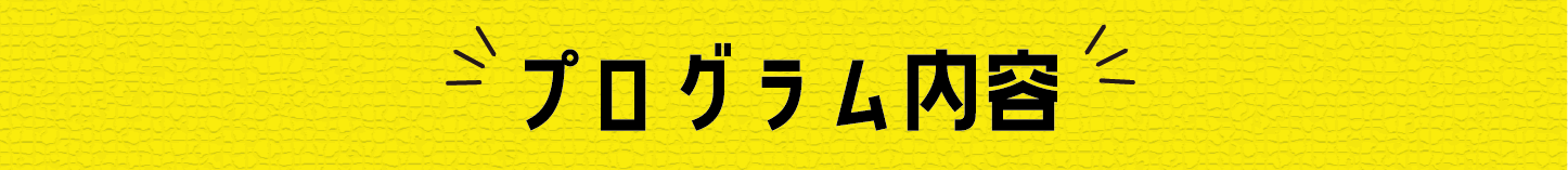 プログラム内容