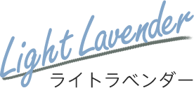 light lavender ライトラベンダー
