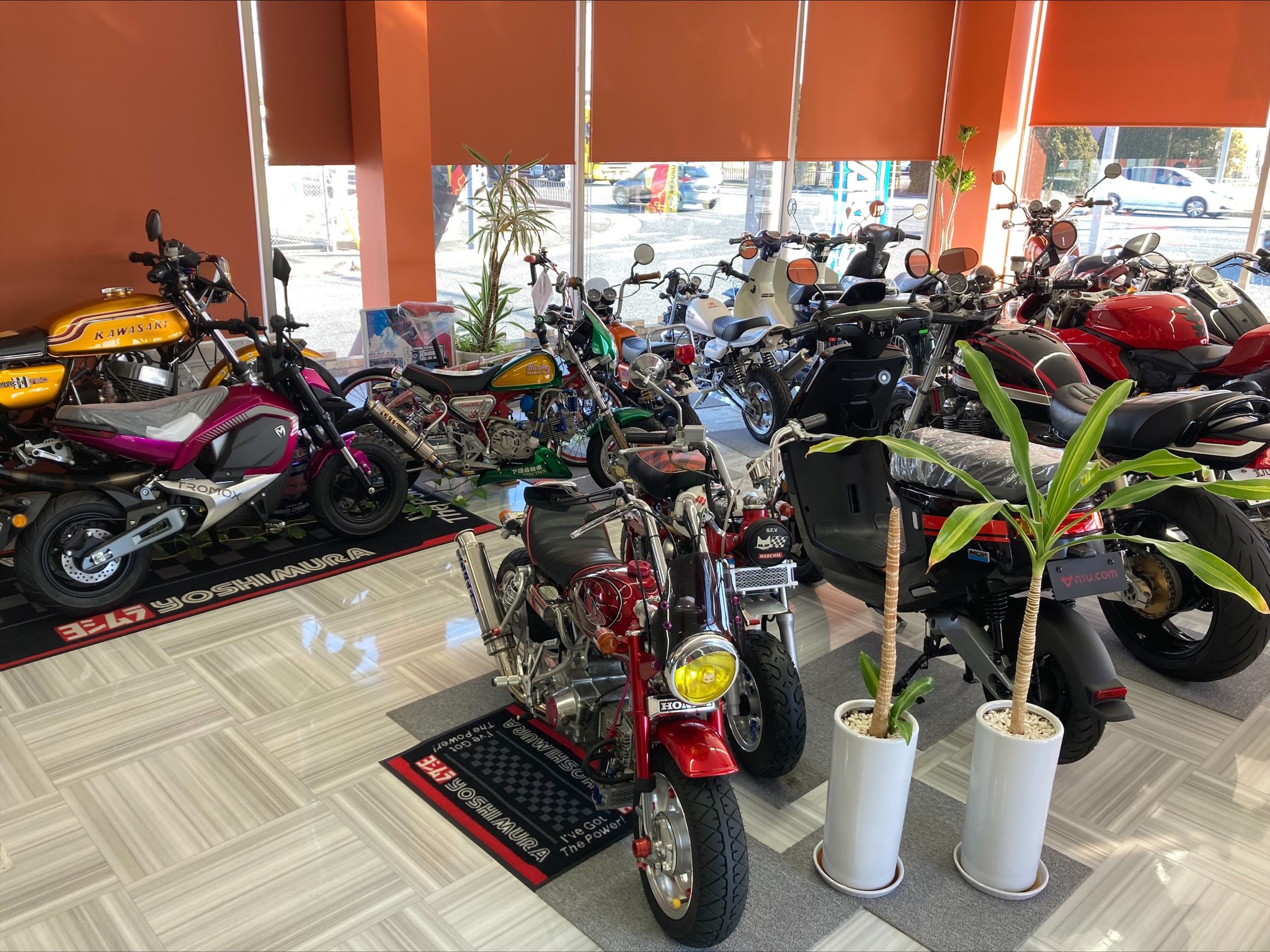 XEAM 福岡豊前 店舗写真4